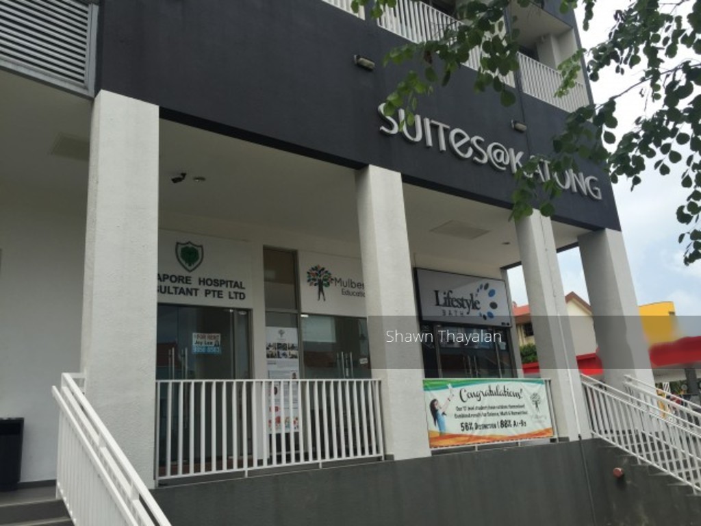 SUITES@ KATONG (D15), Shop House #123289982